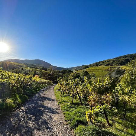 Chambre Du Vigneron - Domaine Leon Bleesz Reichsfeld Bagian luar foto