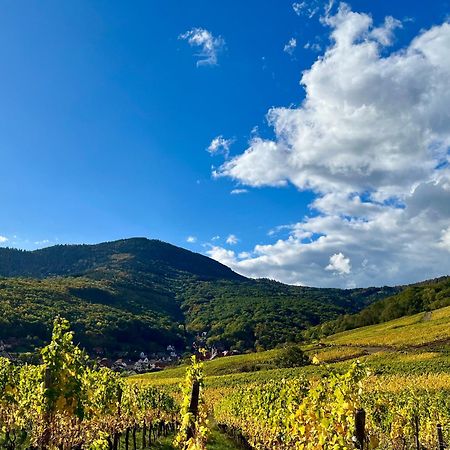 Chambre Du Vigneron - Domaine Leon Bleesz Reichsfeld Bagian luar foto