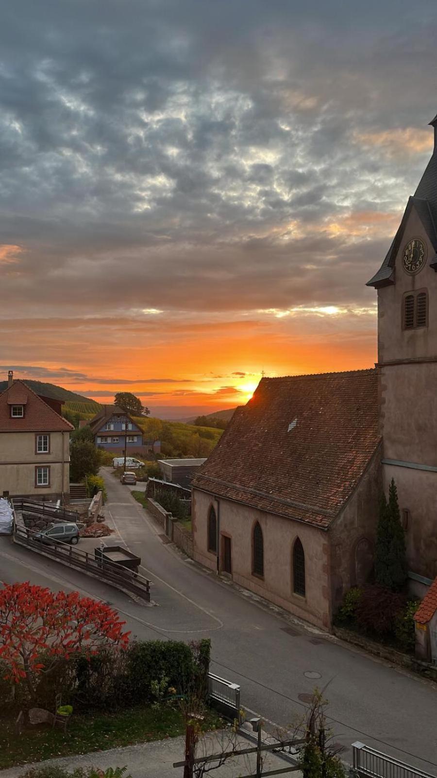 Chambre Du Vigneron - Domaine Leon Bleesz Reichsfeld Bagian luar foto
