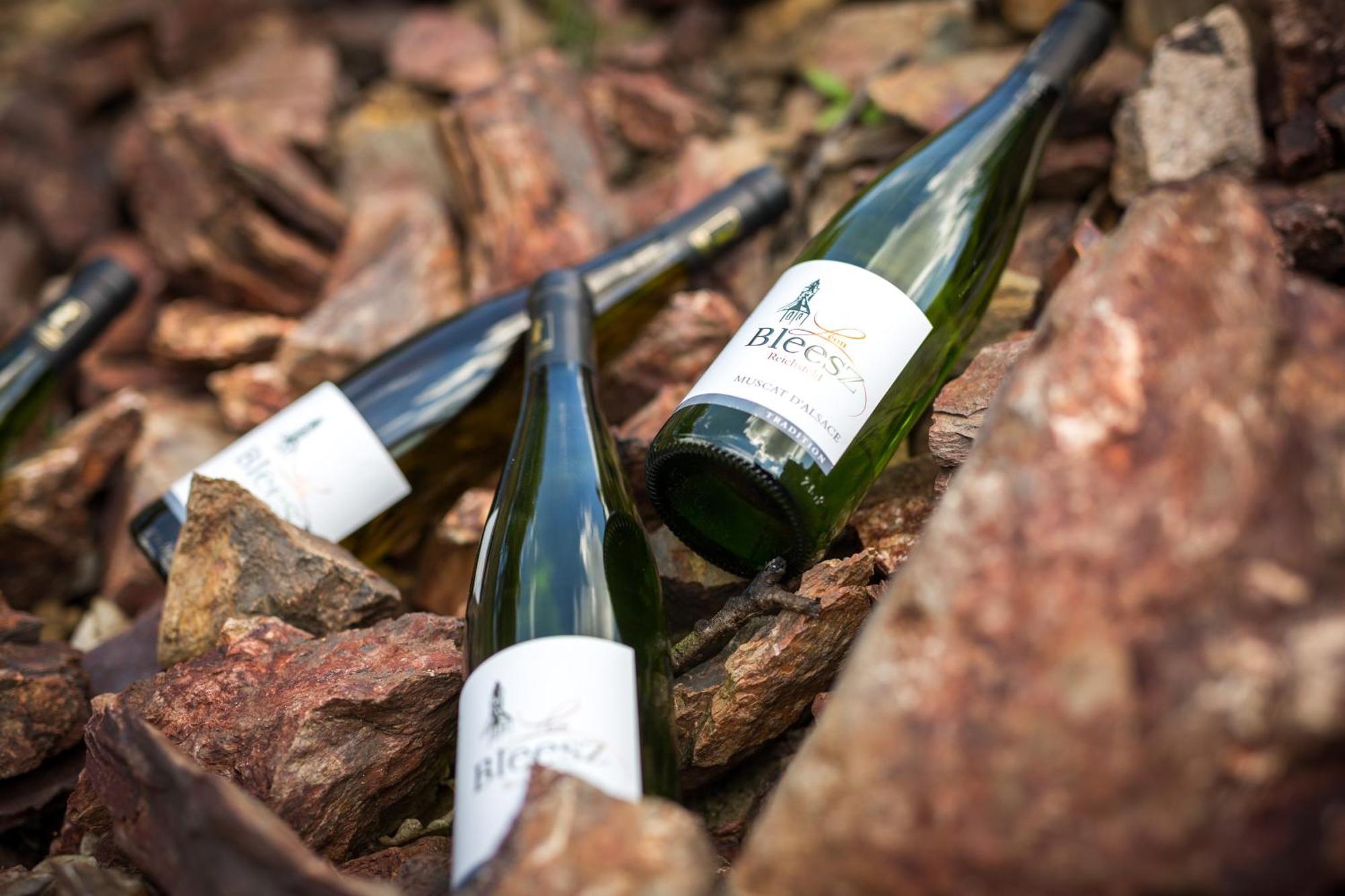 Chambre Du Vigneron - Domaine Leon Bleesz Reichsfeld Bagian luar foto